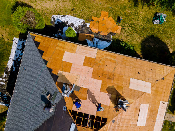 Best Residential Roof Replacement  in Balch Springs, TX