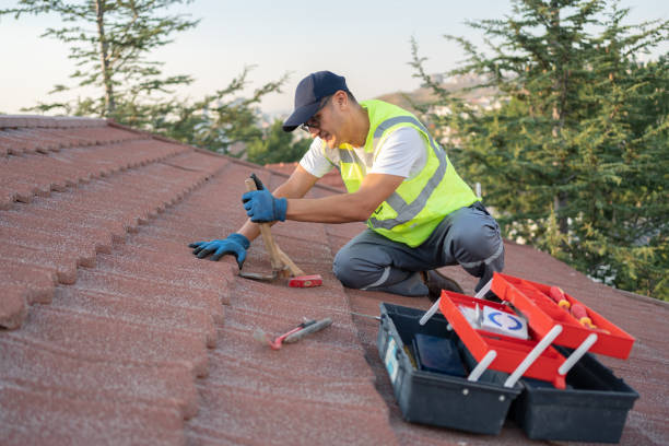 Best Local Roofing Companies  in Balch Springs, TX