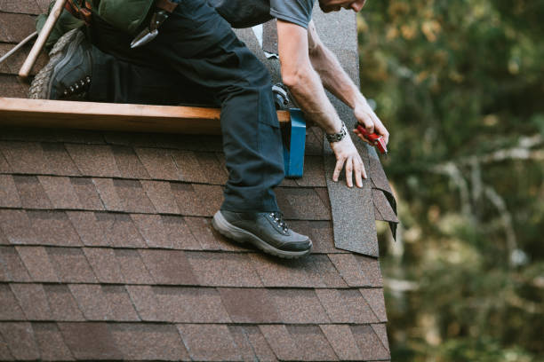 Best Roof Gutter Cleaning  in Balch Springs, TX